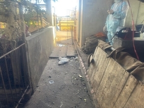 台中の養豚場でアフリカ豚熱　感染拡大は確認されず／台湾