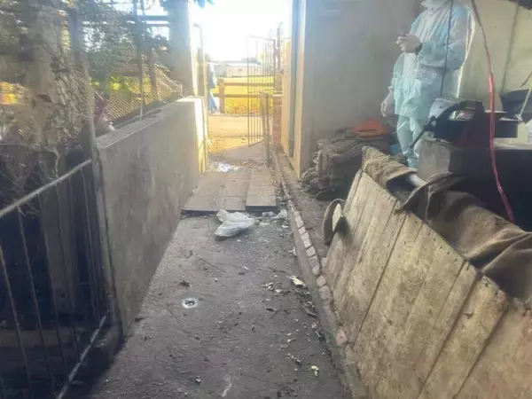 台中の養豚場でアフリカ豚熱　感染拡大は確認されず／台湾