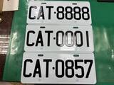 「愛猫家の夢　「CAT8888」のナンバープレート　約280万円で落札／台湾」の画像1