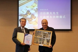 昆虫標本2万5千点超　日本人男性、台湾の博物館に寄贈　絶滅したとみられるキアゲハも