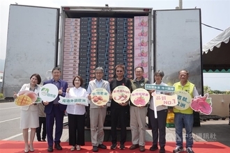 台湾のマンゴーやライチ計6トンが欧州へ輸出　検疫の厳格化以降初めて