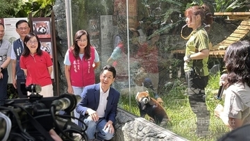 台北市立動物園、上海からのレッサーパンダ2匹公開　名前お披露目／台湾
