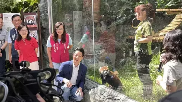 台北市立動物園、上海からのレッサーパンダ2匹公開　名前お披露目／台湾