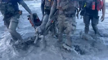 花蓮の洪水被害　捜索救助隊、ぬかるみにはまっていた野犬を救出／台湾