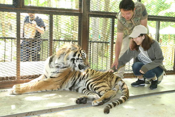 落ちたら死にます 日本一危険な動物園 とうたう触れ合えすぎる動物園 17年7月15日 エキサイトニュース