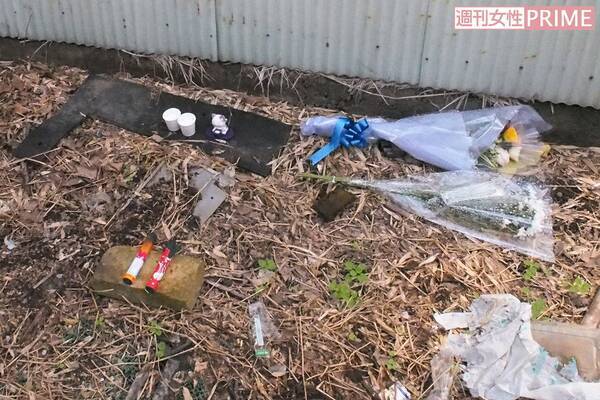 埼玉 深谷市 猫虐待殺傷の一部始終を動画撮影した 鬼畜男の正体 17年10月3日 エキサイトニュース