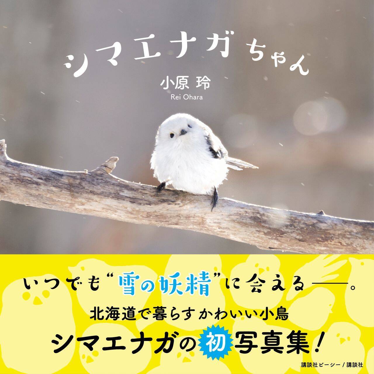 天使すぎる鳥 雪の妖精 と話題沸騰中 シマエナガちゃんを知っていますか 18年3月26日 エキサイトニュース 2 2