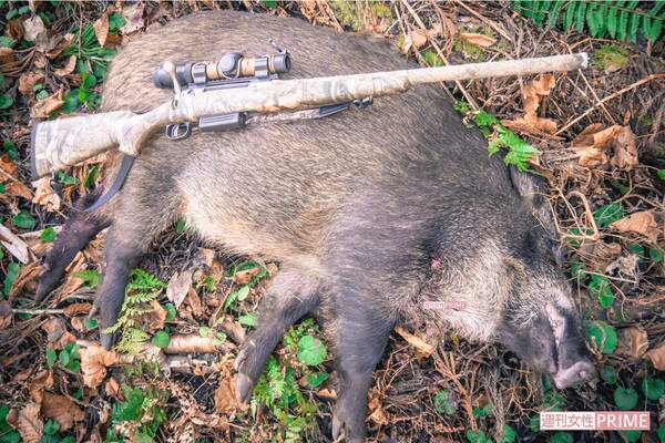 野生動物と人間の共存 射殺 放血で 命 を隅々までいただくということ 19年1月4日 エキサイトニュース