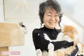 猫顔だと思う女性芸能人は Top10にミステリアスで小悪魔っぽい顔ぶれズラリ 19年3月6日 エキサイトニュース