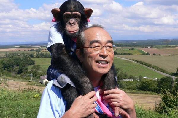 志村どうぶつ園 Vtrでパンくんは 恐怖に震えて 霊長類学者が警告 年5月23日 エキサイトニュース