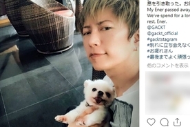 ペットロスの友人夫妻に元気になって欲しいと Gacktが愛犬を里子に出しました 動画に賛否 21年2月15日 エキサイトニュース