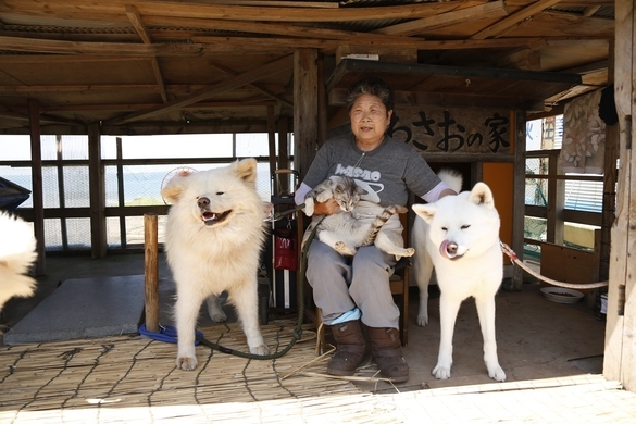 ブサかわ わさお が大往生 生前かわいがっていた志村さん追った 年6月10日 エキサイトニュース