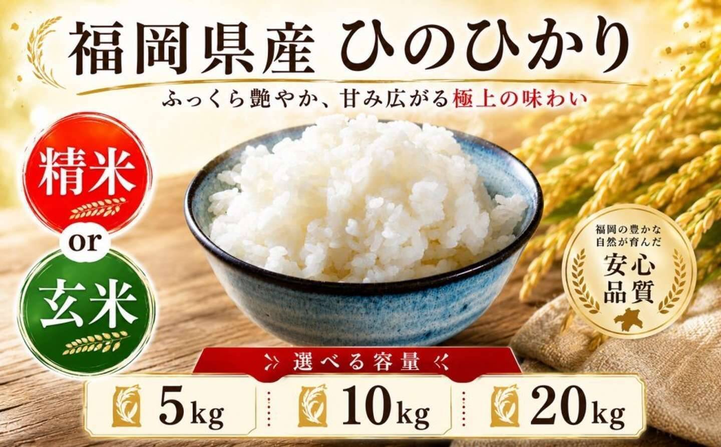 もっちり弾力、すっきりしたうま味、深い甘み　ふるさとチョイスで人気の【ヒノヒカリ】5選