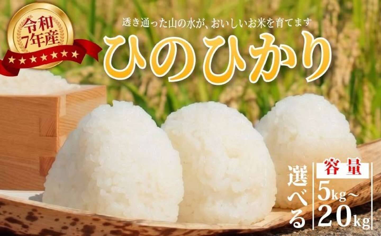 もっちり弾力、すっきりしたうま味、深い甘み　ふるさとチョイスで人気の【ヒノヒカリ】5選