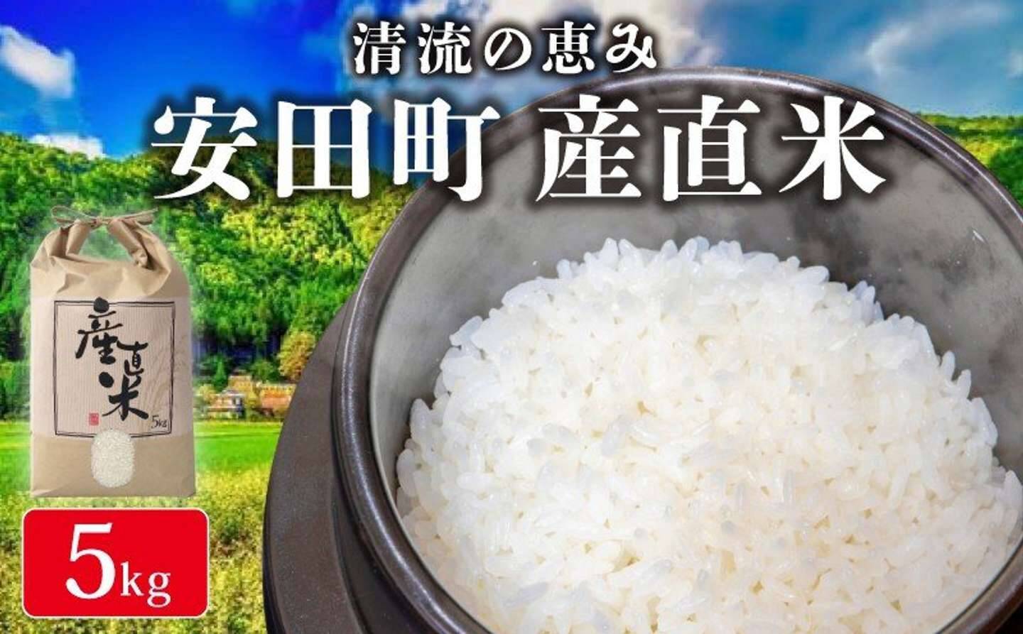 もっちり弾力、すっきりしたうま味、深い甘み　ふるさとチョイスで人気の【ヒノヒカリ】5選
