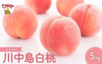 今から準備しとけば間違いナシ！　ふるさとチョイスで人気の【桃】ランキング