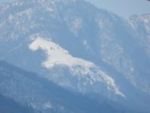 神奈川県の山に現れる〝巨大白馬〟に5000人驚がく　2026年〝午年〟は出会えるか！？