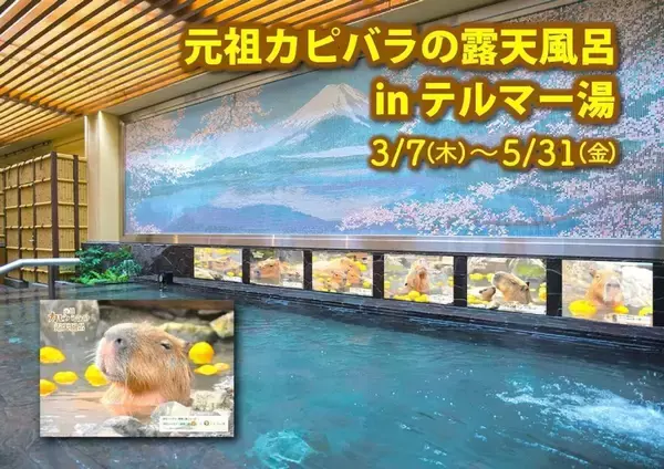 歌舞伎町で「カピバラの露天風呂」に入れるらしい　テルマー湯と伊豆シャボテン動物公園がコラボ