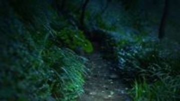 「おかしい...」山中を30分ほど歩いたのに誰にも会わない　やっと見つけた民家、ドアと叩くと出てきたのは