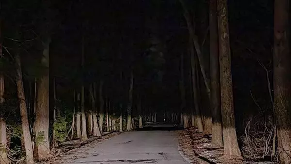 「「おかしい...」山中を30分ほど歩いたのに誰にも会わない　やっと見つけた民家、ドアと叩くと出てきたのは」の画像