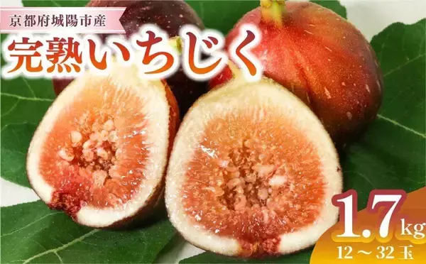 「びっくりするくらいに美味しい」「今までで一番」　ふるさとチョイスで人気の【いちじく】トップ5