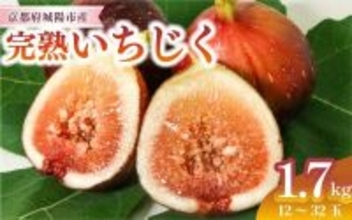 「びっくりするくらいに美味しい」「今までで一番」　ふるさとチョイスで人気の【いちじく】トップ5