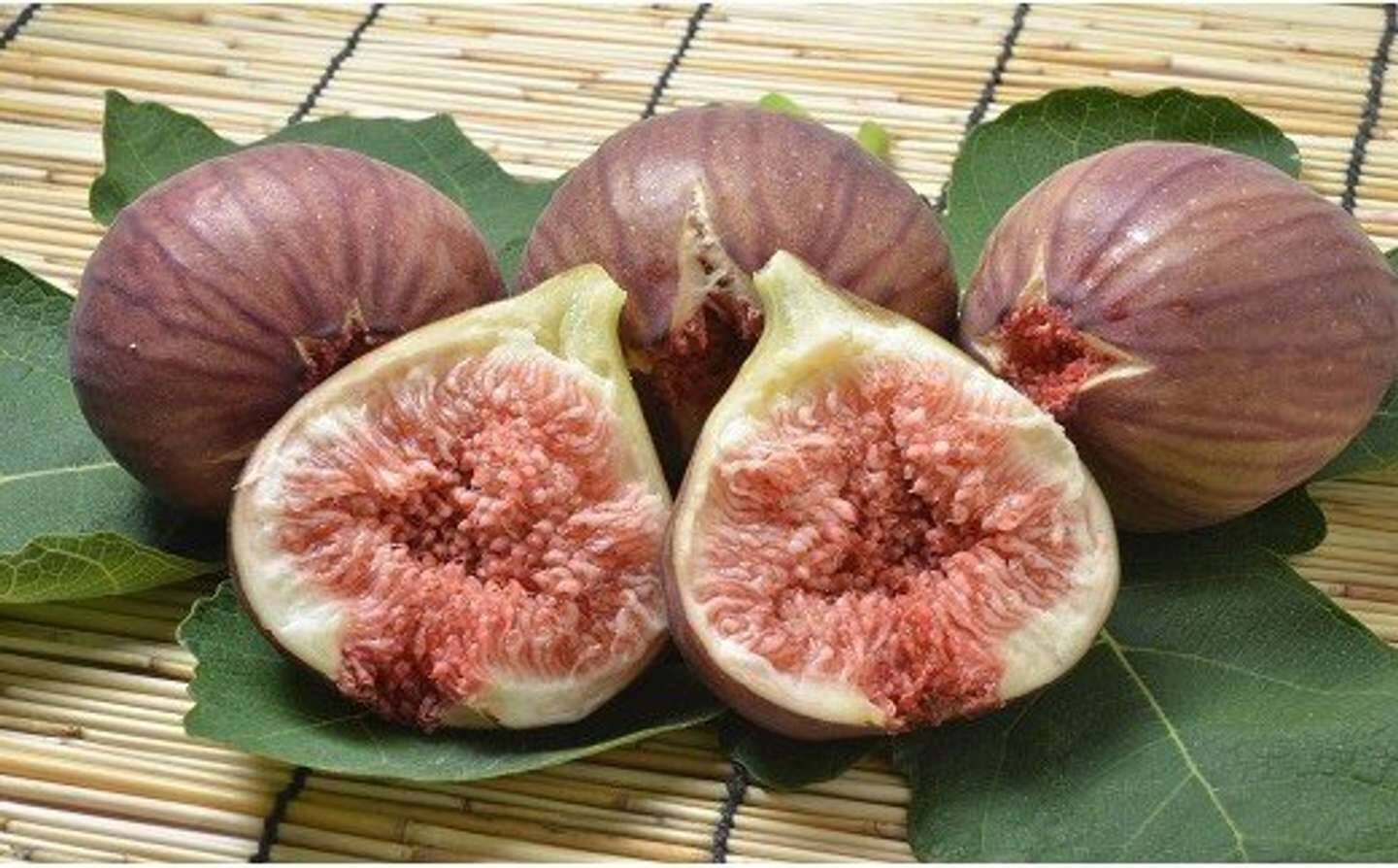 「びっくりするくらいに美味しい」「今までで一番」　ふるさとチョイスで人気の【いちじく】トップ5