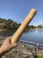 もはや恐怖映像...横浜・三溪園での〝鯉のエサやり〟が大迫力すぎ　2.7万人戦慄「トラウマになりそう」