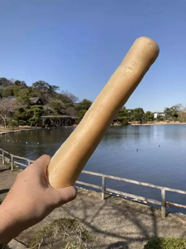 もはや恐怖映像...横浜・三溪園での〝鯉のエサやり〟が大迫力すぎ　2.7万人戦慄「トラウマになりそう」