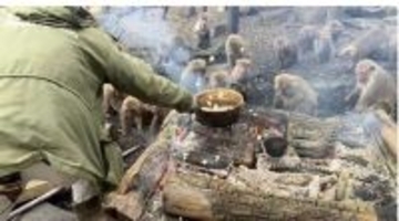 猿の群れの真ん中で、ポップコーンを作ったらどうなる？　楽しそうすぎる〝パーティー〟に3.6万人破顔