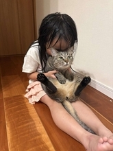 「この関係がずっと続いてほしい」　6歳少女の〝全力猫吸い〟と吸われ猫の〝受け入れ顔〟に5.1万人ほのぼの