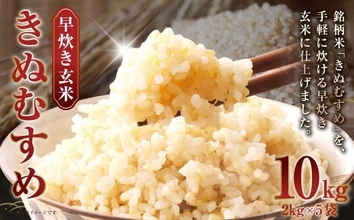 〝新時代のブランド米〟のウマさを知りたくないか？　ふるさとチョイスで人気の【きぬむすめ】5選