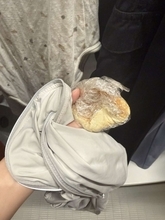 「育児してると面白いことが起こるね」　1歳児ママが〝人生で初めて洗ったモノ〟に同情「ヤバい」「どんまい」