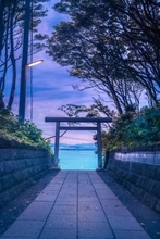 鳥居越しの海の青さがうつくしい　茨城・酒列磯前神社で目撃された神秘的絶景