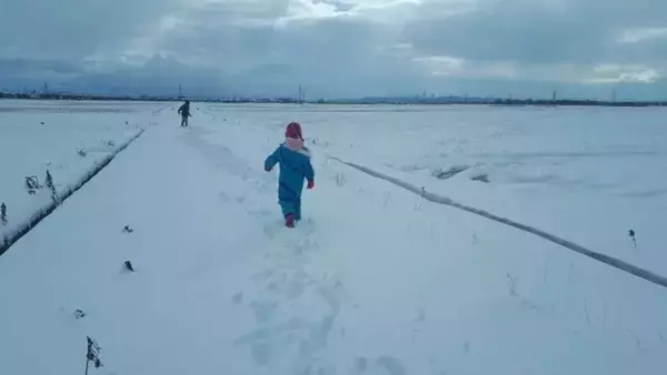 「入院中のお母さんに会いたい」　祖父母宅を抜け出した幼い兄弟は、見知らぬ人の車に拾われて