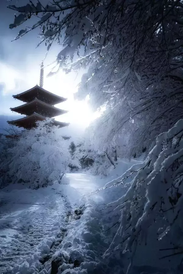 「これが京都の本気の雪景色」　神秘的な光が照らす白い世界と五重塔...幻想絶景に1.3万人感嘆