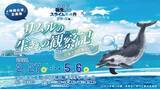 「転スラ映画『蒼海の涙編』×四国水族館がコラボ中　キャラクターの特徴と水生生物の生態を重ね合わせる！？【2／27～5／6】」の画像1