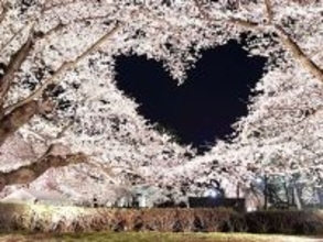 なんてカワイイ「偶然」なんだ...　空にハートを描く弘前公園の桜に反響「心がキュンってなる」「キレイすぎるやろ～！」