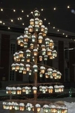 小樽の夜にキラキラ輝く〝クリスマスツリー〟に3万人うっとり　「かわいい〜！絵本みたい！」「粋な演出」