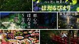 「23区内でも「ほたる」見られます　計画たてるなら今しか！東京で楽しむ〝ほたるイベント〟おすすめ3選【2026】」の画像1