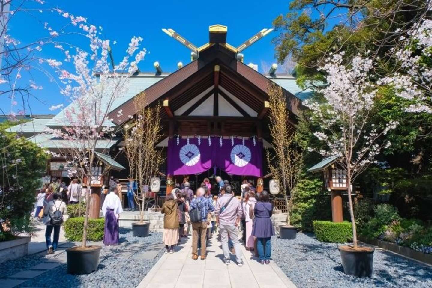 わた婚×千代田のさくらまつりスタンプラリー開催中　美世＆清霞にならって水上お花見も楽しんで【3／11～4／19】
