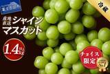 「「コレを食べると、他のシャインマスカットが食べられません」　ふるさとチョイスで人気の【ぶどう】トップ5」の画像1