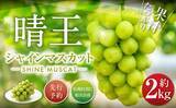 「「コレを食べると、他のシャインマスカットが食べられません」　ふるさとチョイスで人気の【ぶどう】トップ5」の画像2