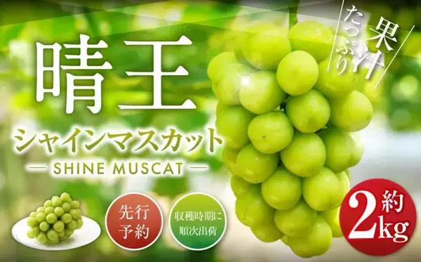 「「コレを食べると、他のシャインマスカットが食べられません」　ふるさとチョイスで人気の【ぶどう】トップ5」の画像