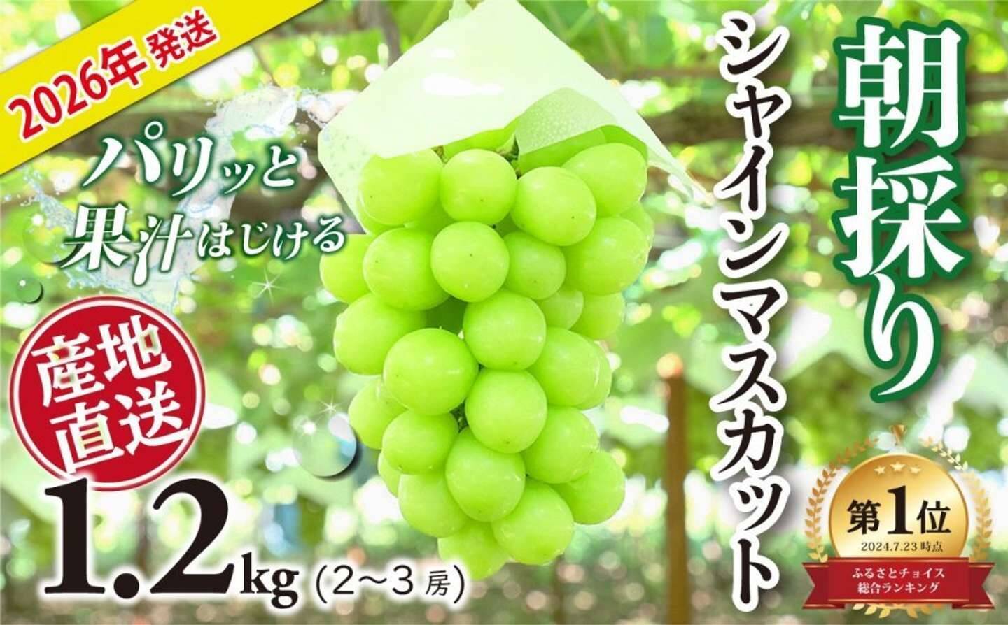 「コレを食べると、他のシャインマスカットが食べられません」　ふるさとチョイスで人気の【ぶどう】トップ5