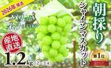 「「コレを食べると、他のシャインマスカットが食べられません」　ふるさとチョイスで人気の【ぶどう】トップ5」の画像4