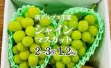 「「コレを食べると、他のシャインマスカットが食べられません」　ふるさとチョイスで人気の【ぶどう】トップ5」の画像5