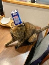 にゃんこの食後に目を離したら...衝撃事態発生で2.8万人あ然　「新種UMA」「芸術点高い」