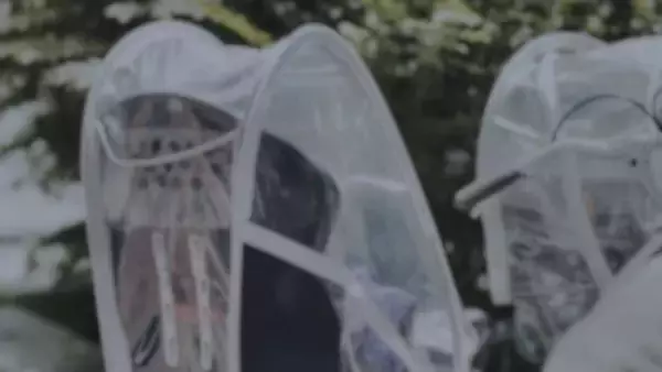 「4歳の娘を自転車の後ろに乗せて走るシングルマザーの私。ワゴン車の中年男性に声をかけられて...」（埼玉県・40代女性）