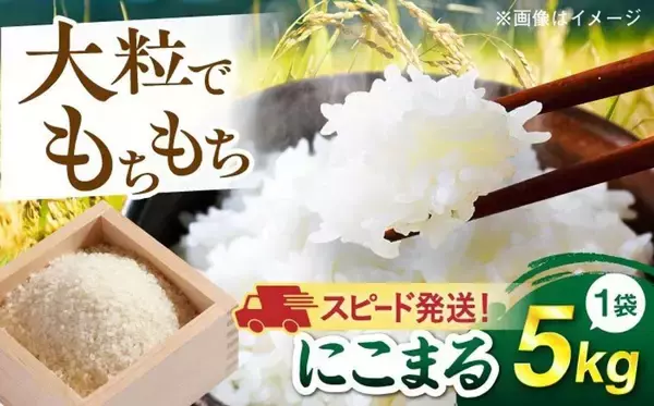 「猛暑に強い次世代のブランド米...もちもち食感と甘みが特徴　ふるさとチョイスで人気の【にこまる】5選」の画像